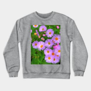 Pink Frills Crewneck Sweatshirt